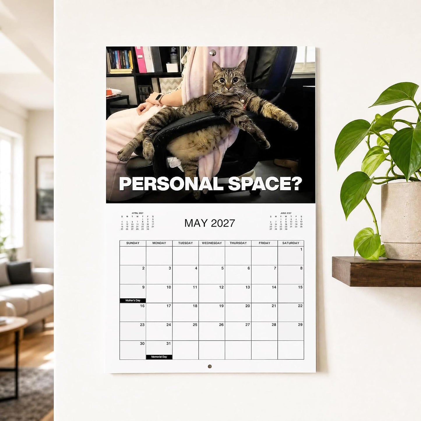 😾📅PISSED-OFF CATS 2027 Wall Calendar - Funny Gift for Cat Lovers