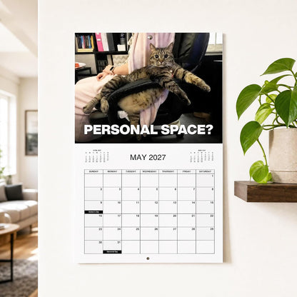 😾📅PISSED-OFF CATS 2027 Wall Calendar - Funny Gift for Cat Lovers