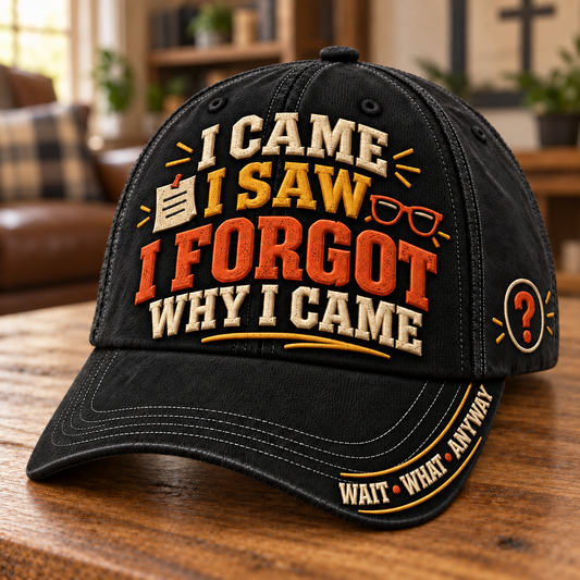 😂 I Came I Saw I Forgot Why I Came Funny Aging Baseball Cap