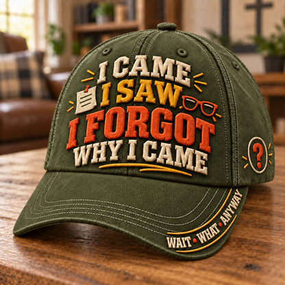 😂 I Came I Saw I Forgot Why I Came Funny Aging Baseball Cap